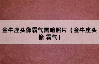 金牛座头像霸气黑暗照片（金牛座头像 霸气）